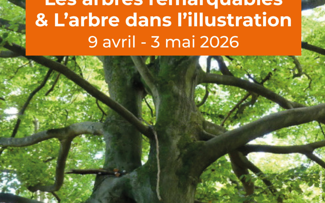 Exposition : Les arbres remarquables & l’arbre dans l’illustration