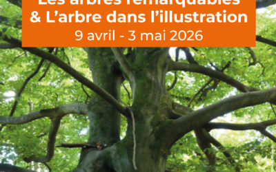 Exposition : Les arbres remarquables & l’arbre dans l’illustration